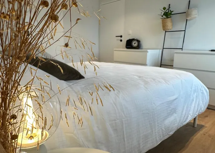 Maison Sur Mer Oostduinkerke