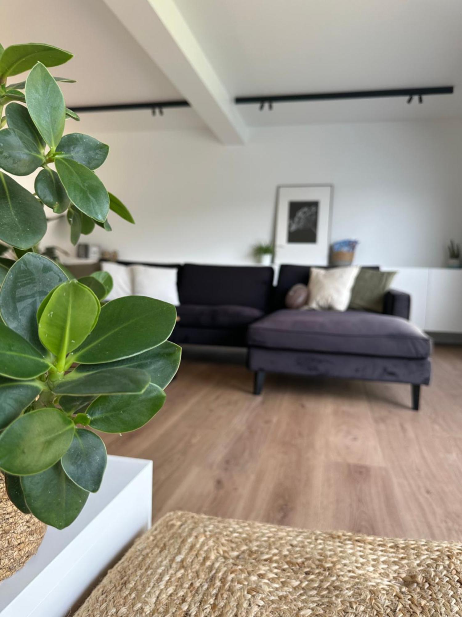 Maison Sur Oostduinkerke Holiday home *